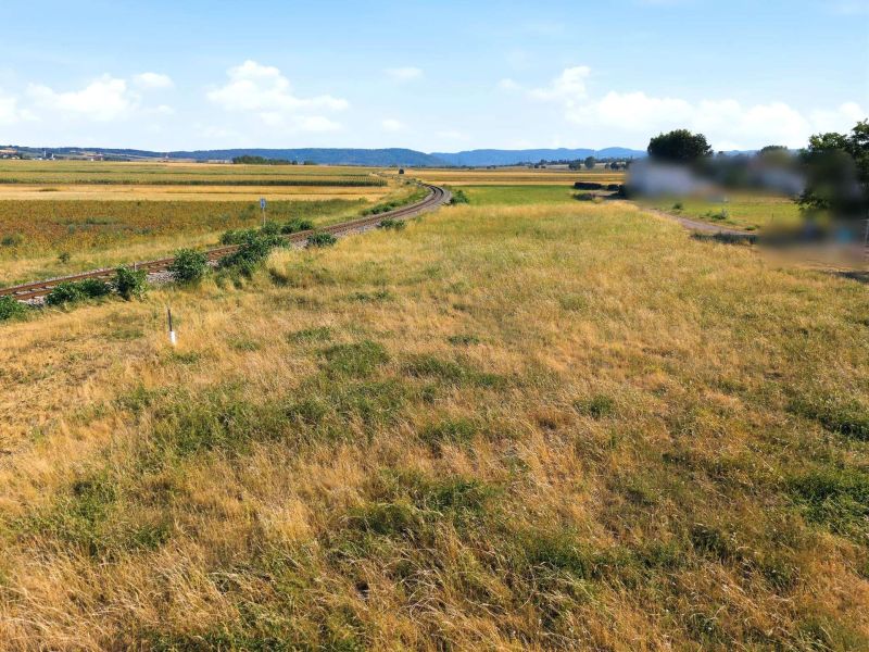 Gro�z�giges Baugrundst�ck mit eigener Zufahrt ? 1.175 m� und bis zu zwei Wohneinheiten /  / 2111&nbsp;Harmannsdorf / Bild 9